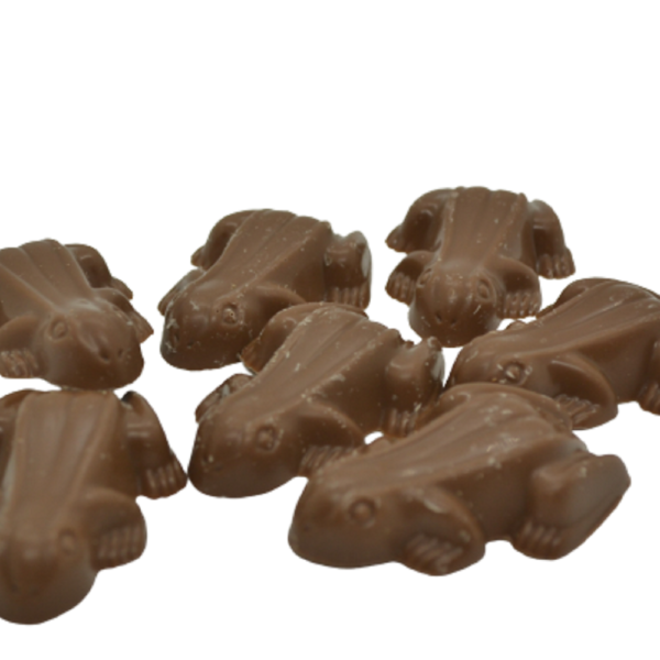 Bulk Chocolate Frogs, Buy Online